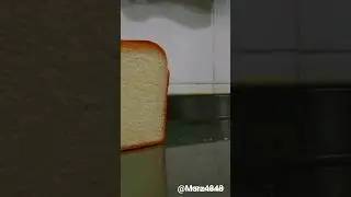 Toast falling over#funny