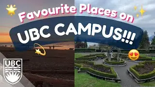 Our Favourite Places to Hang Out on UBC Campus!
