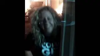 Disney window blow