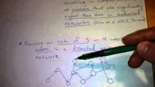 Tutorial on Network Motifs