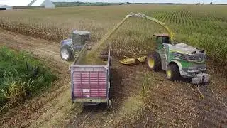 2025 Silage Harvest