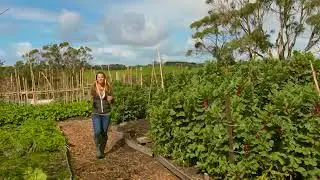 The Garden Gurus - Briars Heritage Garden