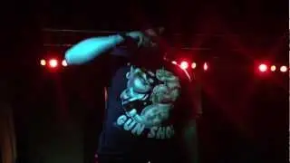M.Dizz & Lyricz BullFrog Set