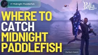 Where to Catch the Midnight Paddlefish in Palia 2025