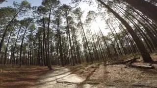 Weymouth Woods NC FPV flyaround