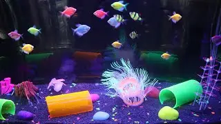 My 40Gallon (150Litres)  GloFish tank setup with ENGLISH subtitles ~Complete aquarium setup tutorial