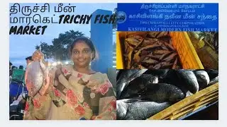 திருச்சி மீன் மார்கெட்    ....         TRICHY fish market.. காசி விளங்கி மீன் மார்கெட் திருச்சி