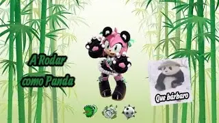 Rodemos como Pandas 🐼🐼