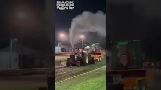 2025   Chad Terwilliger   Thriller   11,500 Improved   Knox Co Fair 2025
