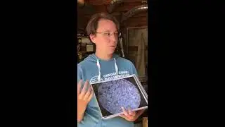 Seri Robinson - Everything you need to know about fungi and spalting