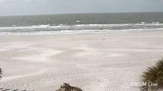 Gulf Of America Beach Livestream ⛱️ Live Camera Beach Live Now