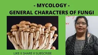 B.Sc. FIRST SEMESTER (BOTANY) - MYCOLOGY / GENERAL CHARACTERS OF FUNGI