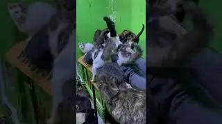 Расслабляться