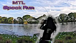 Top Water Fishing W/ Spook *MTL BAITS*