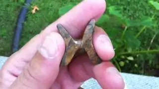 My first soap stone carving