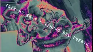 TINCHO DEL PUERTO - This my shit