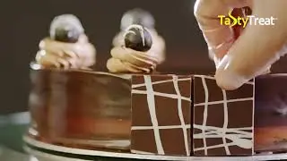Tasty Treat Chocolate Coated Cake