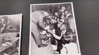 Buffalo History Museum