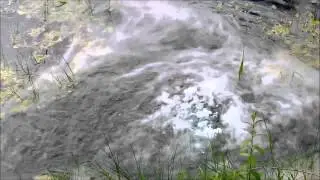 what is bubbling in the water