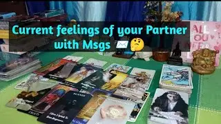 Current feelings of your Partner 🤔 with Msgs 📨