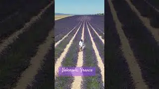 #youlllovewhatwedo #lavander #valensole #france#travel