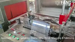 Auto Fruits Vegetables Grains Filling Cartoning & Palletizing Machine System Line
