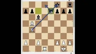 PINNED CHESS PIECE