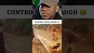 😂 Funniest Viral Memes Compilation | Try Not To Laugh Challenge | Haha Reacts #shorts