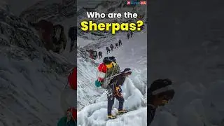 The Men Who Climbed Everest 31 Times: Story of Sherpas in Himalayan Conquests | ForumIAS