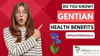 Gentian - The Secret of Digestive Health - Nutrition Absorption