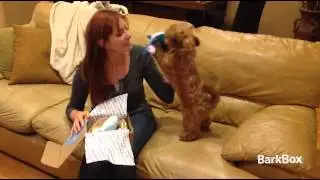 BarkBox Ad - #10