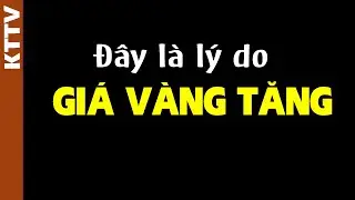 Hóa ra đây là lý do giá vàng tăng cao