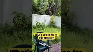 Massive Yard Cleanup 😳