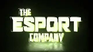 TEC HSL Overwatch Championship Recap
