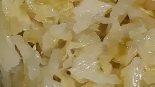 Como fazer chucrute fácil? (repolho fermentado)