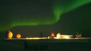 #svalbard #spitsbergen #snow #polarbear #amazing #yt #ytshorts #cute
