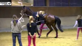 Turniersport Voltigieren &ndash; Grund&uuml;bungen
