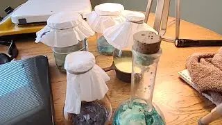 Alchemy Experiments With Steven School