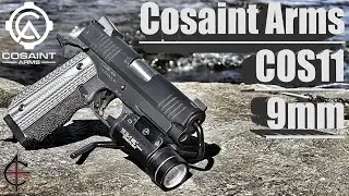 Cosaint Arms Review