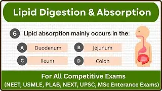 MCQs on Lipid digestion & Absorption || Top 25+ MCQ questions