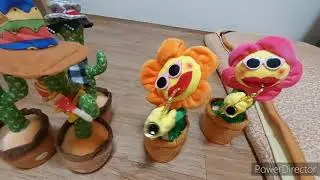 블루투스 해바라기, 춤추는 선인장 인형 또 다시 리뷰!