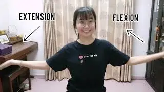 Body Joints Movement Dance