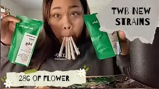 *TRYING NEW STRAINS* TWB | Papaya Punch & No Drama Llama 