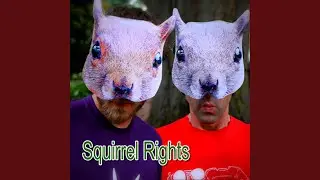 Squirrel Rights