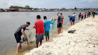 Pescas de tarrafas, 03-12-23, tarde, Barra de Tramandaí, RS. #pescadetarrafas #pescadetainhas #fish