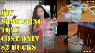Sprouting Tray DIY - How To Make Your Own Sprouting Tray Under $2