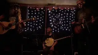 Bug Guts with Tracy Hui at Shanachie Pub!