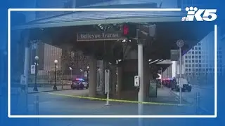 Bellevue police shoot suspect who 'attacked' officer, investigators say