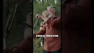 HOW TO LEARN ANIMAL LANGUAGE