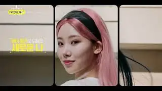 보여줘 너의 진짜 컬러! Freshlight!